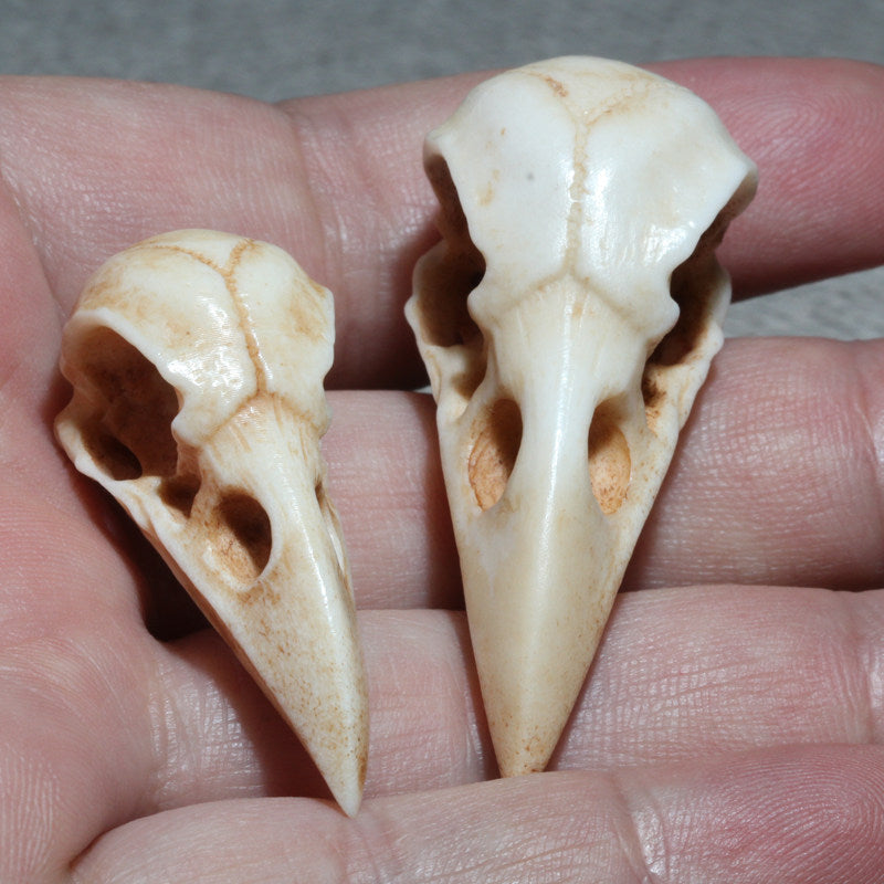 Antler-Carved Gothic Crow Skull DIY Accessory