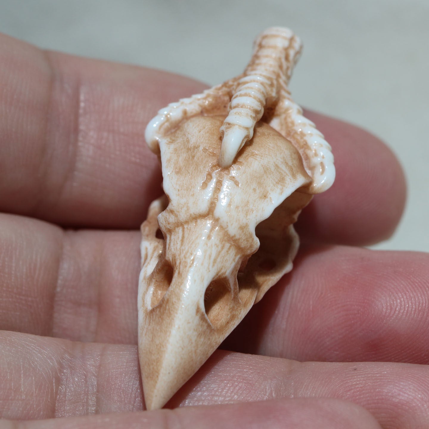 Antler Carving Crow Skull with Claws