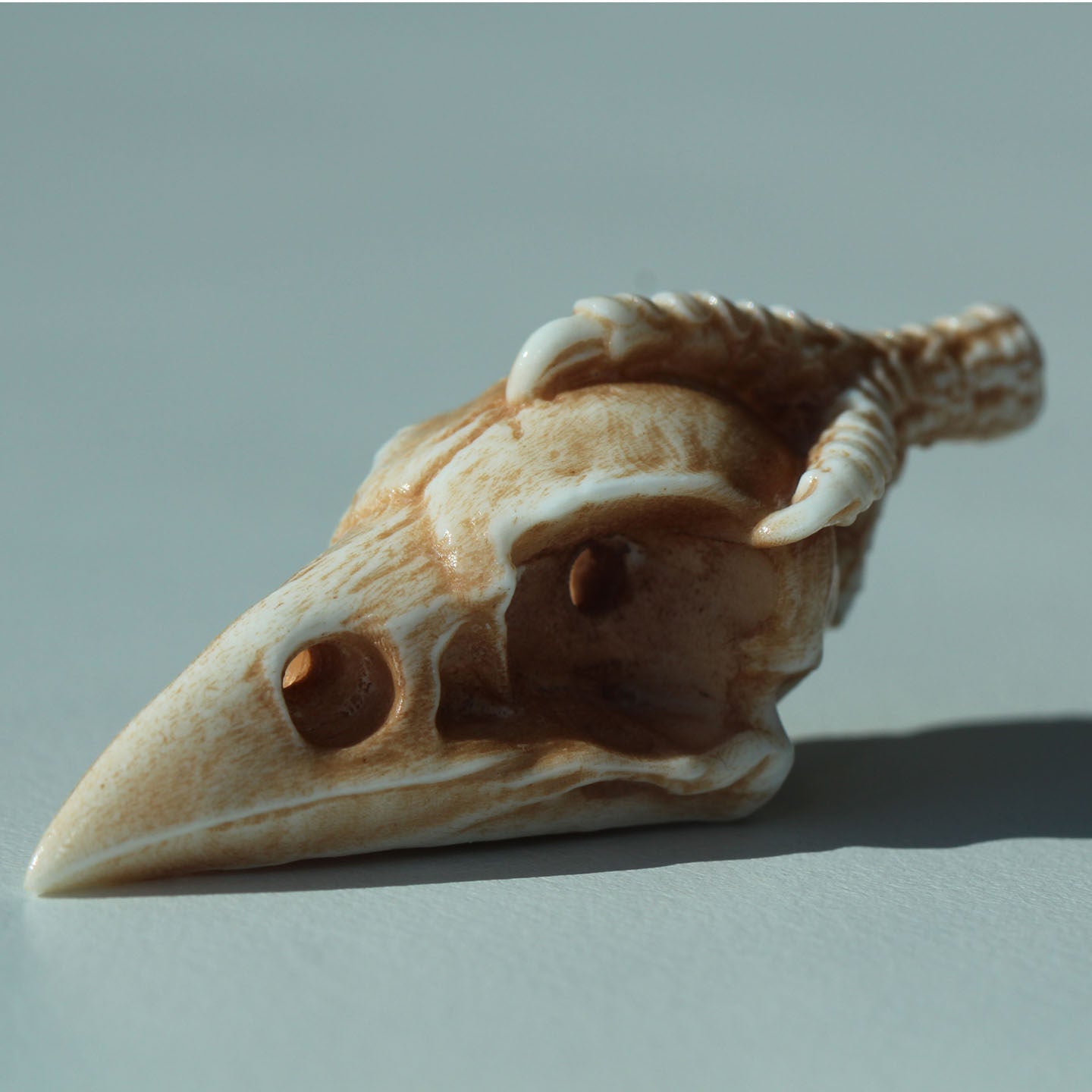 Antler Carving Crow Skull with Claws