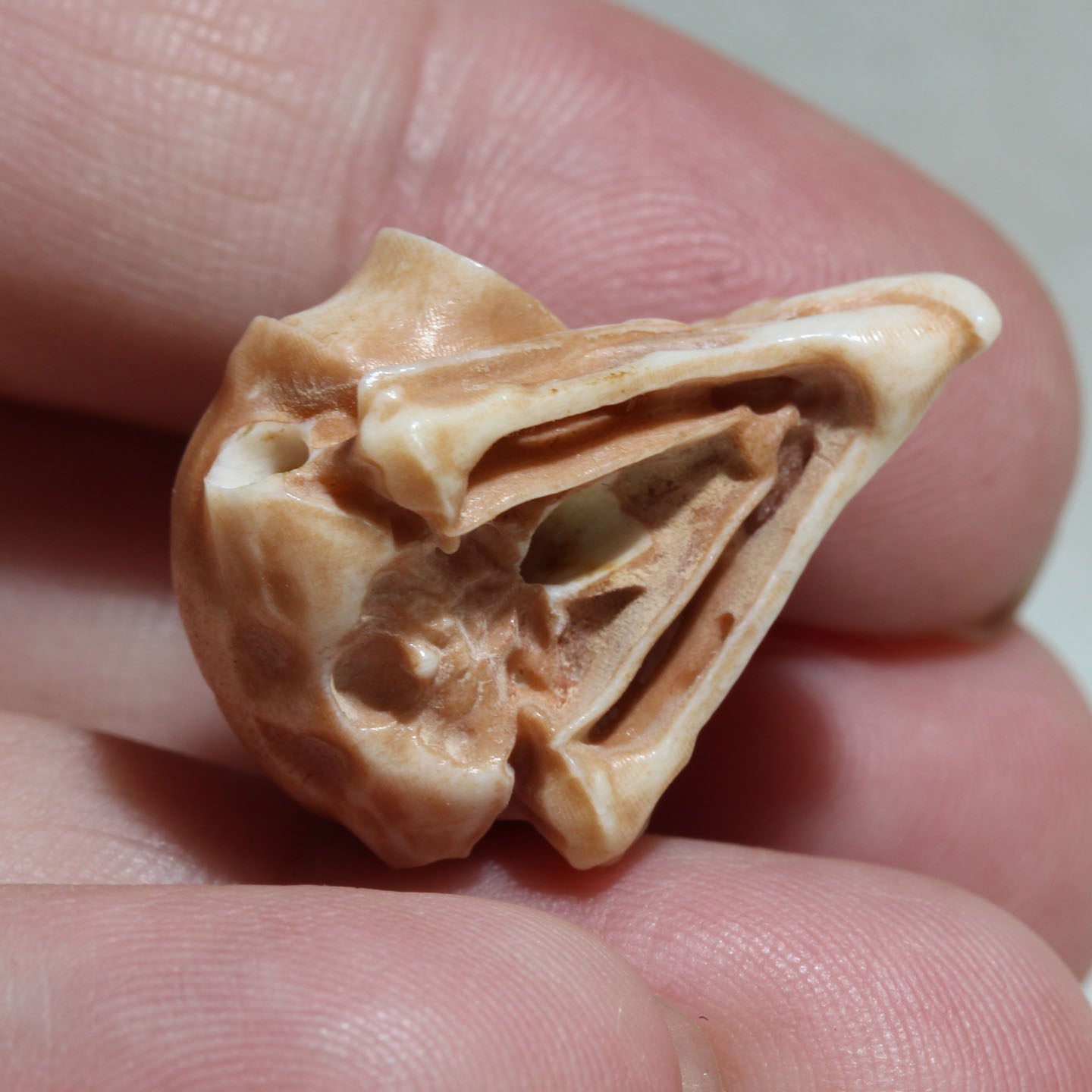 Hand-Carved Natural Antler Owl Skull DIY Bead