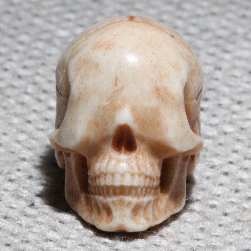 Natural Antler Faceless Skull