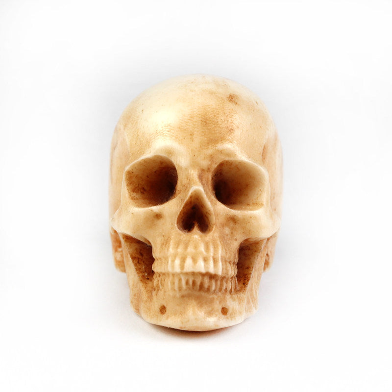 Natural Deer Antler Carved Skull Bead
