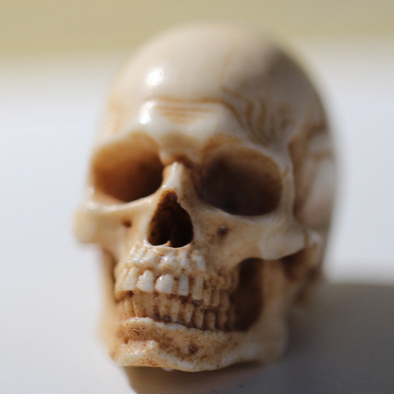 Hand-Carved Antler Anatomical Realism Memento Mori Skull Bead