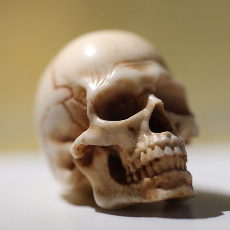 Hand-Carved Antler Anatomical Realism Memento Mori Skull Bead