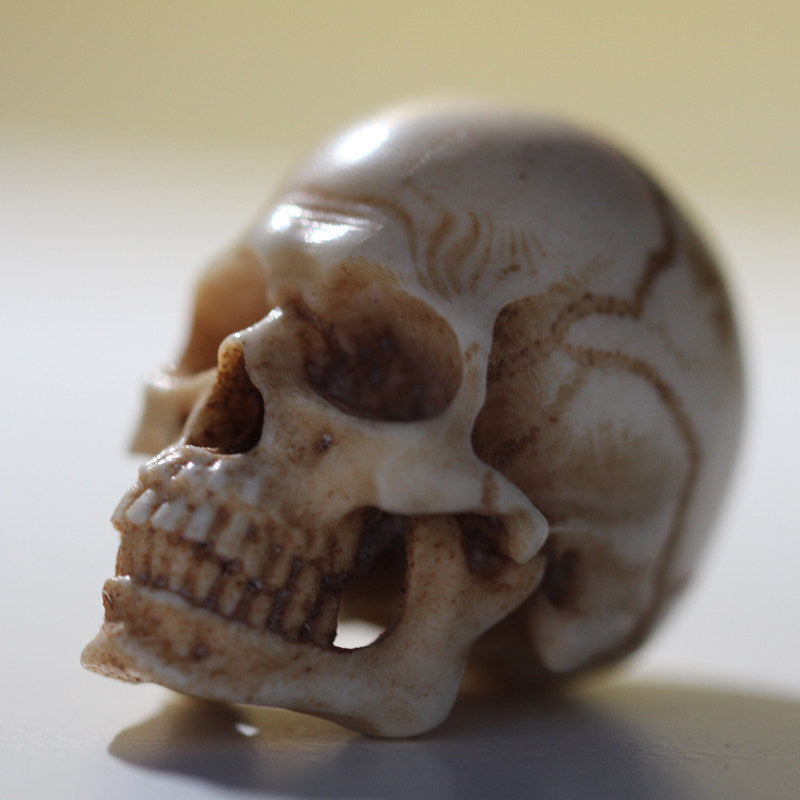 Hand-Carved Antler Anatomical Realism Memento Mori Skull Bead