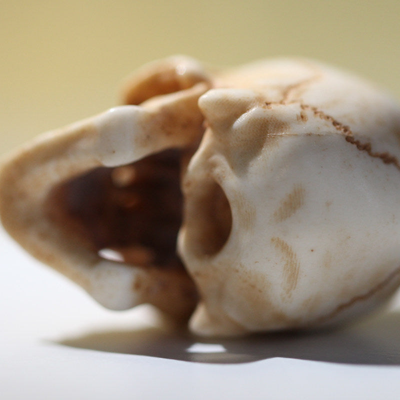 Hand-Carved Antler Anatomical Realism Memento Mori Skull Bead