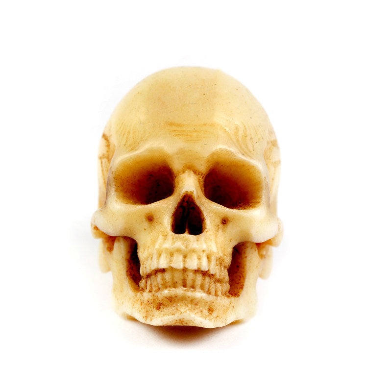 Hand-Carved Antler Anatomical Realism Memento Mori Skull Bead