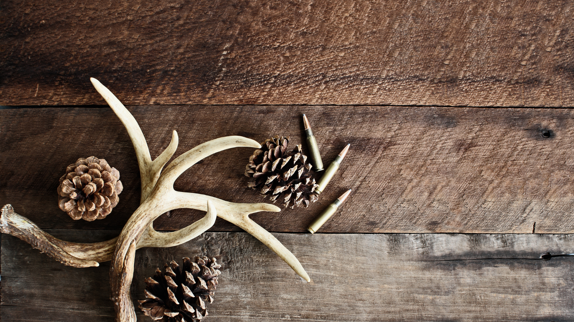 Traditional Carving and Sustainable Aesthetics