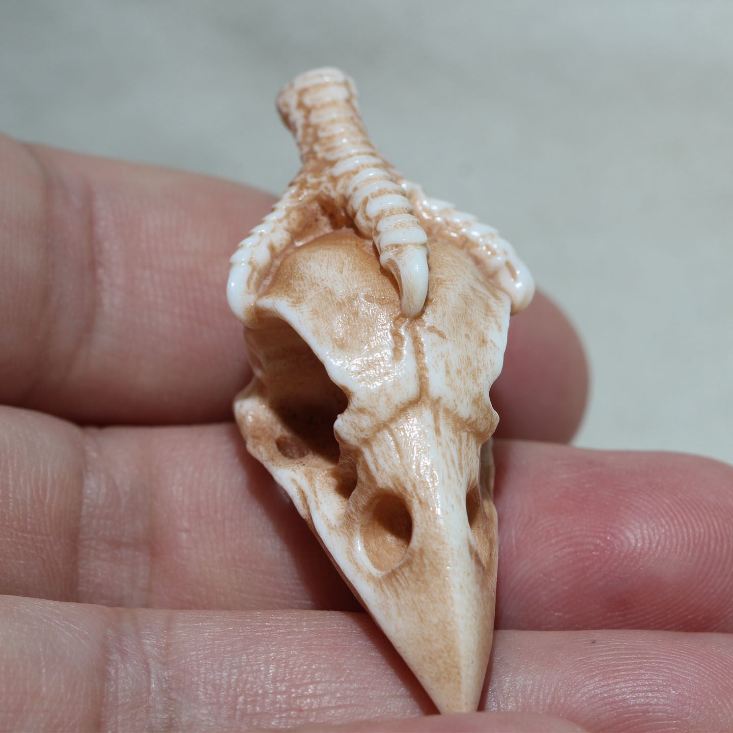 Antler Carving Crow Skull with Claws