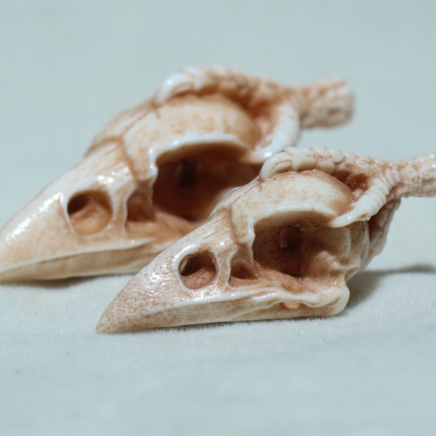 Antler Carving Crow Skull with Claws