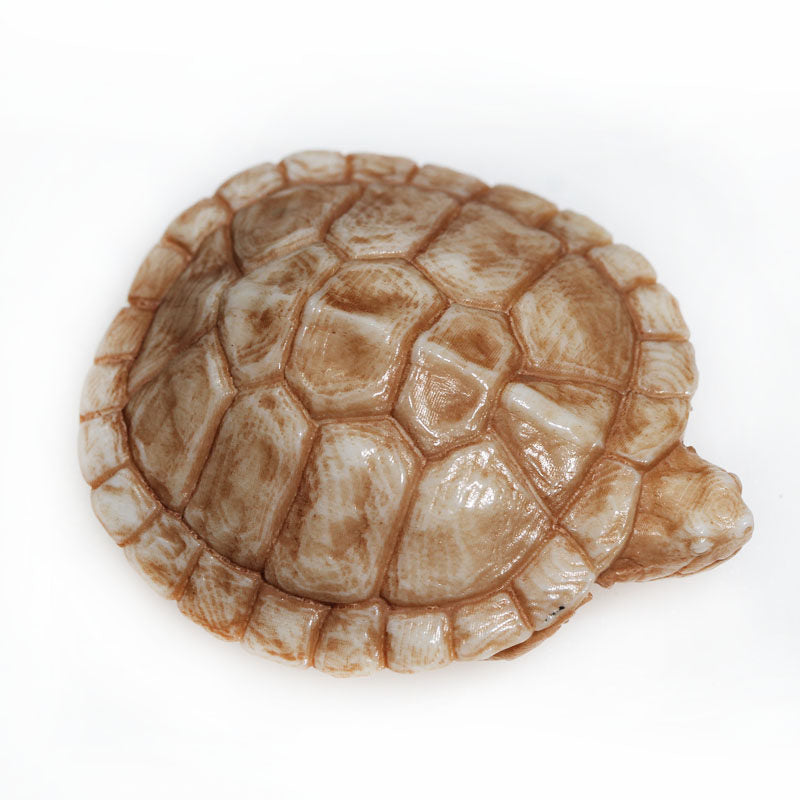 Antler-Carved Turtle Shell Pendant