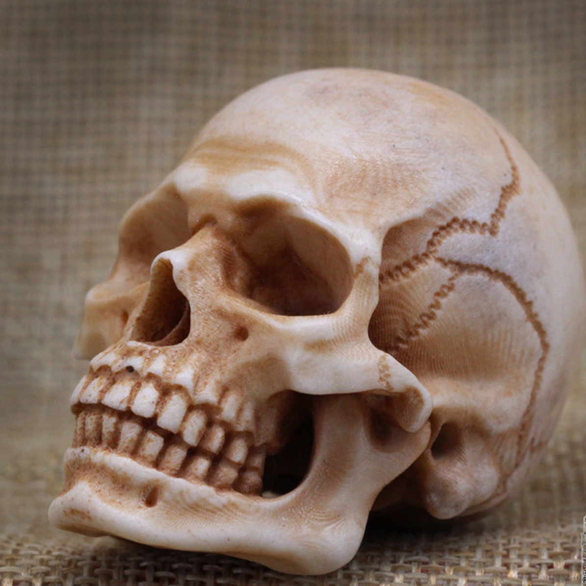 Evil Spirit Antler Skull Bead