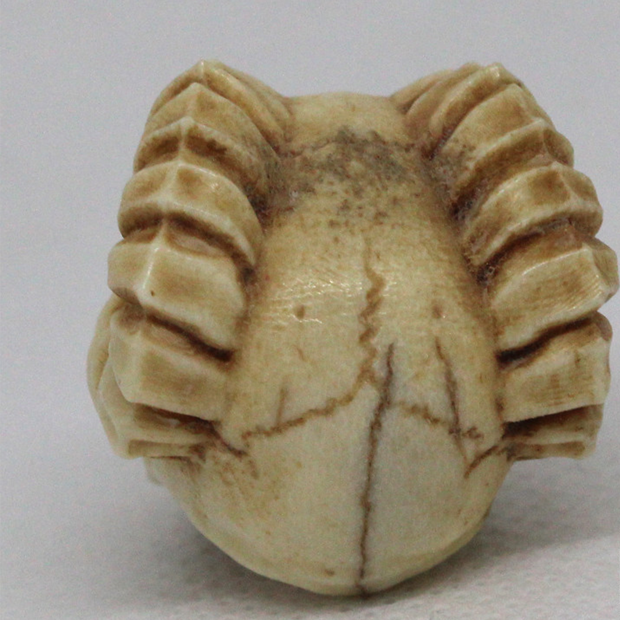 Hand-Carved Deer Antler Demon Ram Skull Bead
