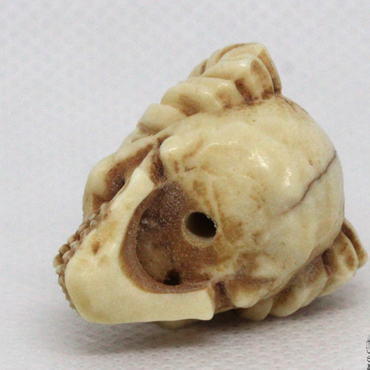 Hand-Carved Deer Antler Demon Ram Skull Bead