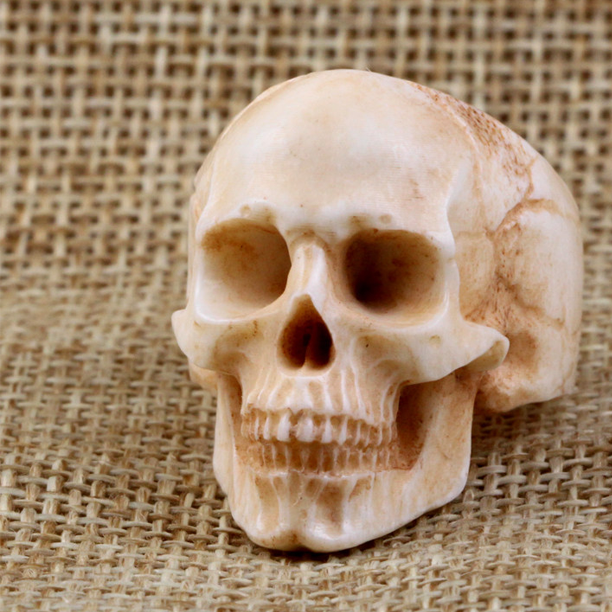 Hand-Carved Realistic Antler Skull Ring