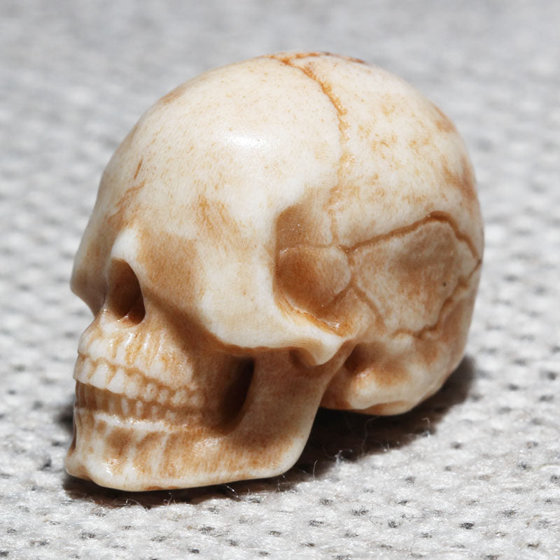 Natural Antler Faceless Skull