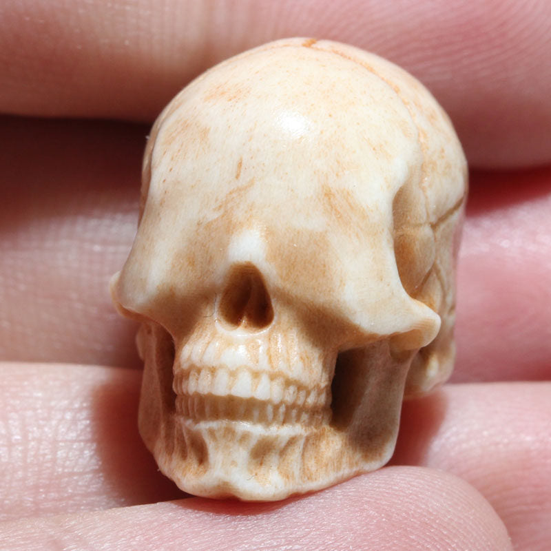 Natural Antler Faceless Skull