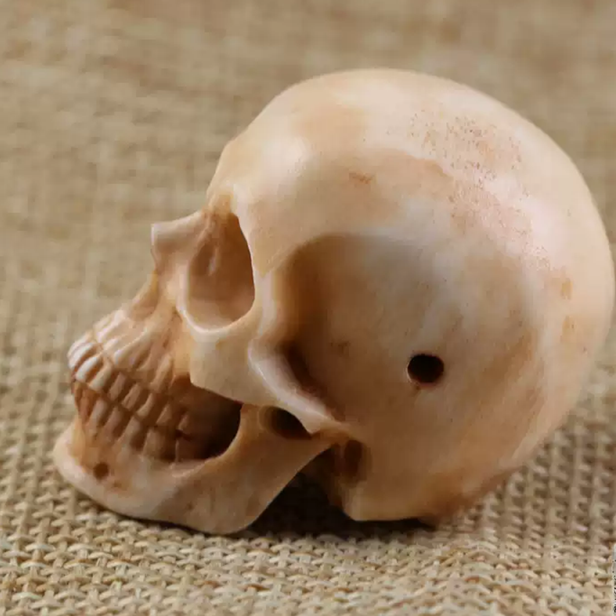 Natural Deer Antler Carved Skull Bead