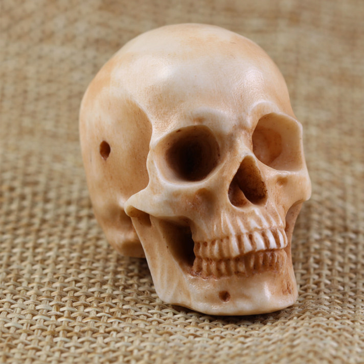 Natural Deer Antler Carved Skull Bead