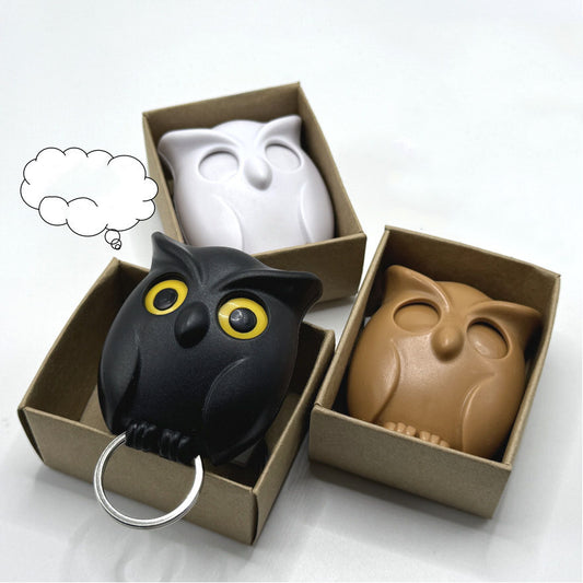 Night Owl Key Holder
