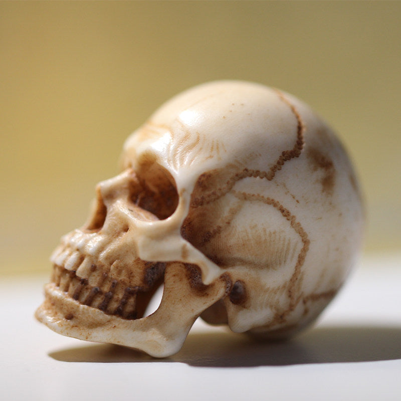 Hand-Carved Antler Anatomical Realism Memento Mori Skull Bead